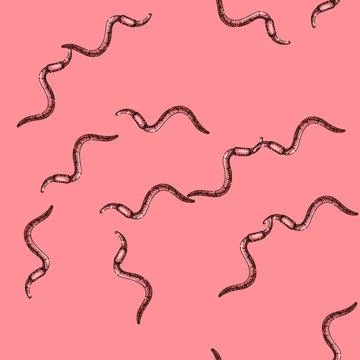 Pattern simple worm sketch hand drawn Ilustración de archivo