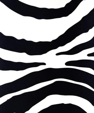 Pattern skin of zebra Illustrazione stock