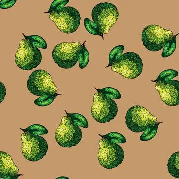Pattern slice guava fruit sketch hand drawn Stock Illustration