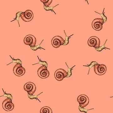 Pattern slug snail sketch hand drawn Stock Illustration