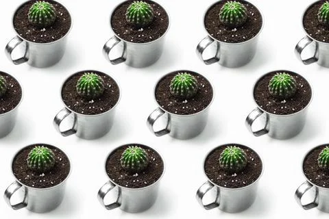 Pattern of small cactus in steel cup  on white background. Stockfoto's