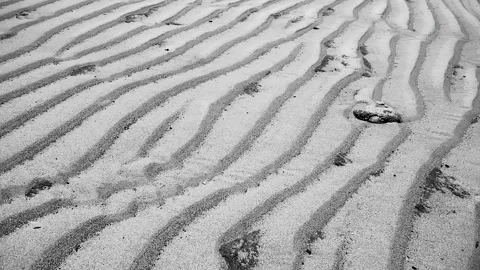 Pattern of Small Dunes Formed by Waves Along Shoreline bw Stock Footage 281590134