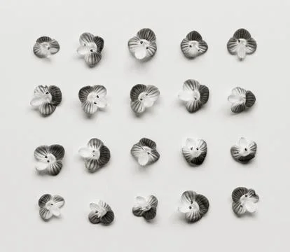Pattern with small flower petals on a white background. Flat lay, top view. b Stock Photos