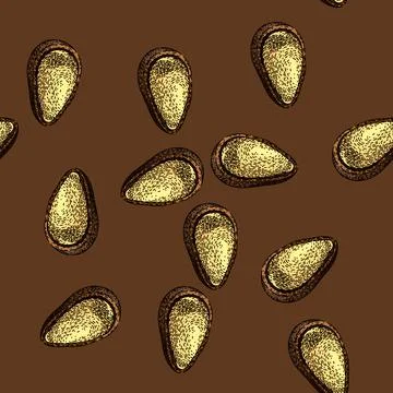 Pattern snack pine nut sketch hand drawn 库存插图