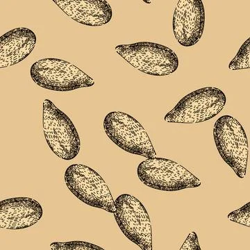 Pattern snack sunflower seed sketch hand drawn Stock Illustration