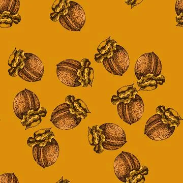 Pattern snack walnut sketch hand drawn 스톡 일러스트