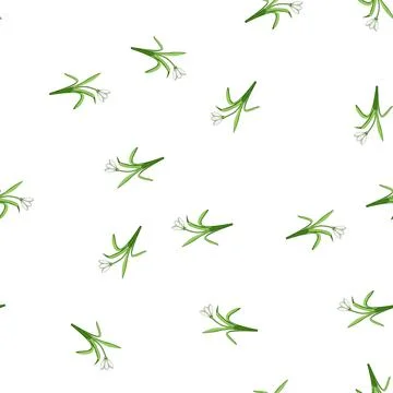 Pattern Snowdrop flower blooming early spring season Stock Illustration