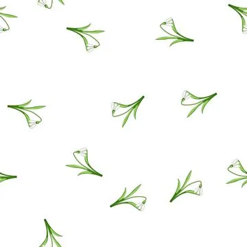 Pattern Snowdrop flower blooming early, representing spring season Stock Illustration