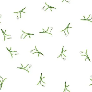 Pattern Snowdrop flower symbolizing spring awakening and purity Illustrazione stock