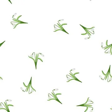 Pattern Snowdrop flowers blooming early season nature Stock Illustration