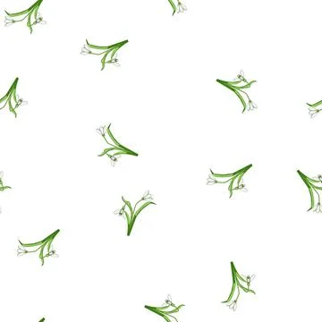 Pattern Snowdrop flowers blooming vector design 库存插图