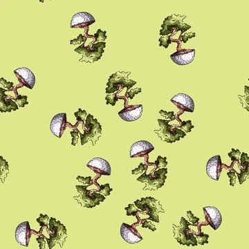 Pattern soil bonzai tree sketch hand drawn black Stockillustratie