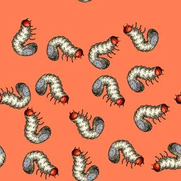 Pattern soil chafer sketch hand drawn 스톡 일러스트