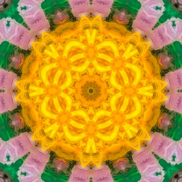Pattern with some feathers and created digitally Stock Photos