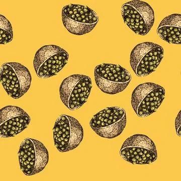 Pattern soya bean food bowl sketch hand drawn Stock Illustration