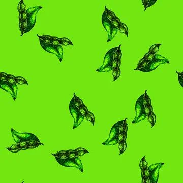 Pattern soya bean food green sketch hand drawn 库存插图