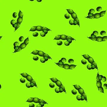 Pattern soya bean food plant sketch hand drawn Stock Illustration