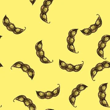 Pattern soya bean food pod sketch hand drawn Stock Illustration