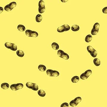 Pattern soya bean food seed sketch hand drawn Stock Illustration