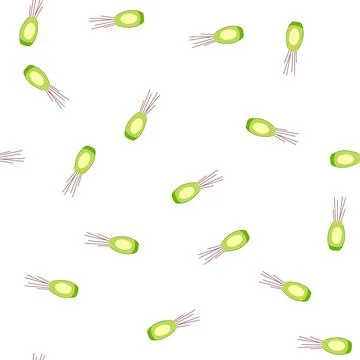 Pattern spa aroma sticks cartoon vector Stock Illustration