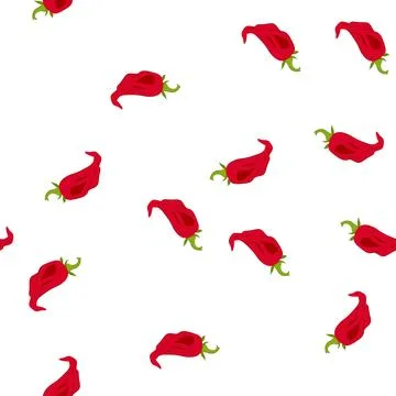 Pattern spice pepper chili cartoon vector イラスト素材
