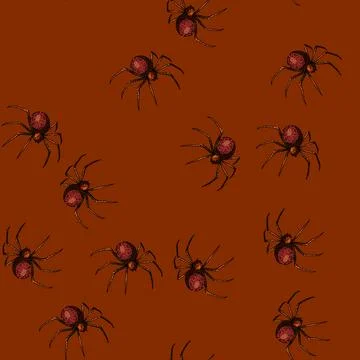 Pattern spider sketch hand drawn Stock Illustration