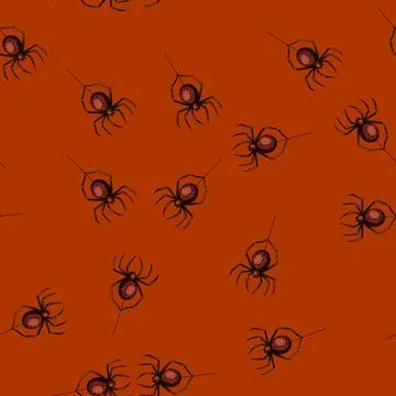 Pattern spider sketch hand drawn Stock Illustration