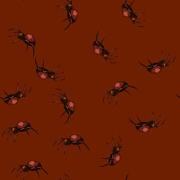 Pattern spider spider sketch hand drawn Stock Illustration
