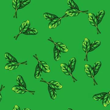 Pattern spinach leaf green sketch hand drawn 스톡 일러스트