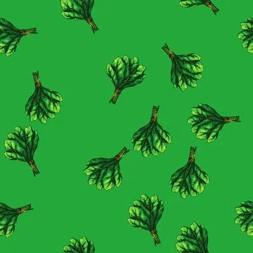 Pattern spinach leaf green sketch hand drawn 스톡 일러스트