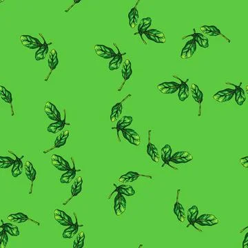 Pattern spinach leaf green sketch hand drawn Stockillustratie