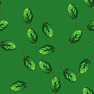 Pattern spinach leaf green sketch hand drawn イラスト素材