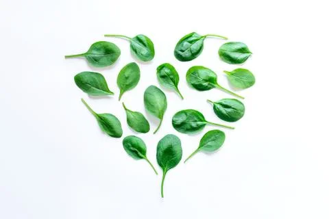 The pattern of spinach leaves on a white background Stock Photos