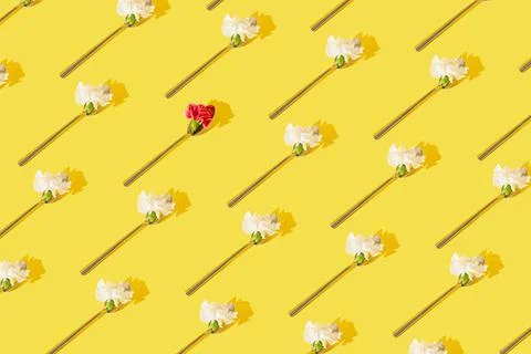 Pattern with  spoons  filled with  spring flowers. Stock Photos