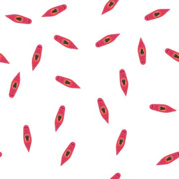 Pattern sport kayak cartoon vector 스톡 일러스트