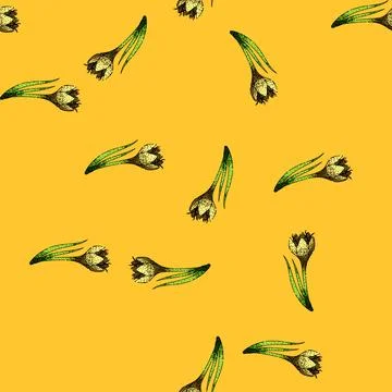 Pattern spring crocus sketch hand drawn 스톡 일러스트
