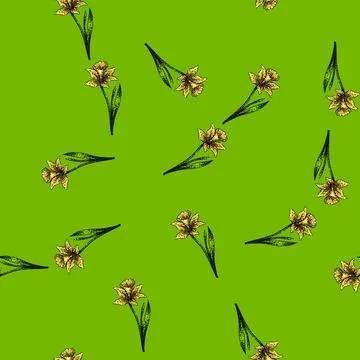 Pattern spring daffodil sketch hand drawn Illustrazione stock