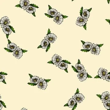 Pattern spring daisy flower sketch hand drawn Stock Illustration
