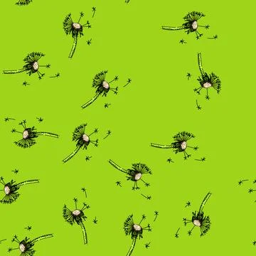 Pattern spring dandelion sketch hand drawn Stockillustratie