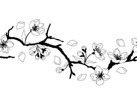 Pattern with spring flowers. Apple, sakura or cherry blossom. Beautiful dec.. Stock Illustration