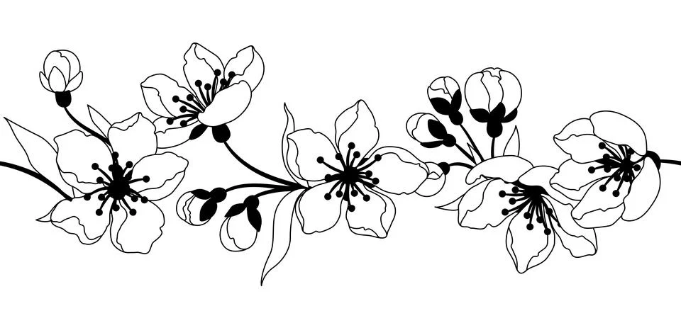 Pattern with spring flowers. Apple, sakura or cherry blossom. Beautiful dec.. Stock Illustration