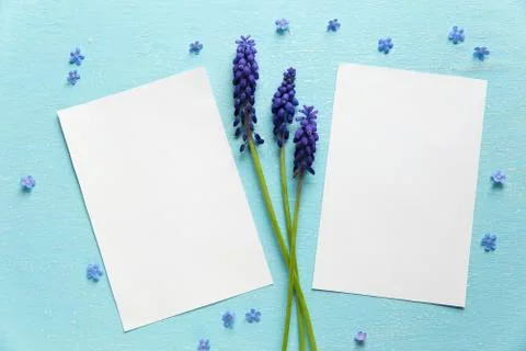 Pattern with spring flowers for two pictures Foto stock