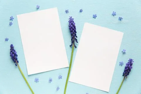 Pattern with spring flowers for two pictures Stock Photos