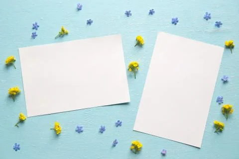 Pattern with spring flowers for two pictures Stock Photos
