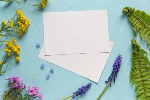 Pattern with spring flowers for two pictures Stock Photos