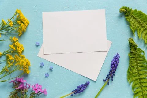 Pattern with spring flowers for two pictures Foto stock