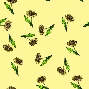 Pattern spring gerbera daisy sketch hand drawn Stock Illustration