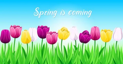 Pattern Of Spring Multi-Color Tulips With Green Leaves On Blue Background. Stock Illustration