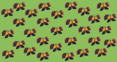 Pattern spring print graphic summer green background butterfly insect Illustrazione stock