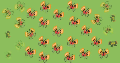 Pattern spring print graphic summer butterfly insect green background Stock Illustration